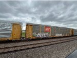 TTGX 987708